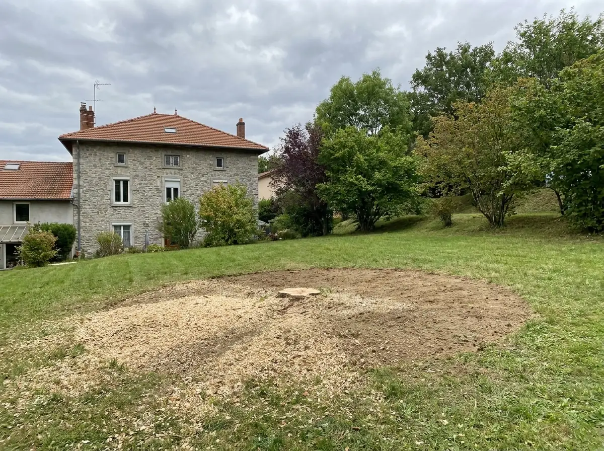 Chantier Rhône
