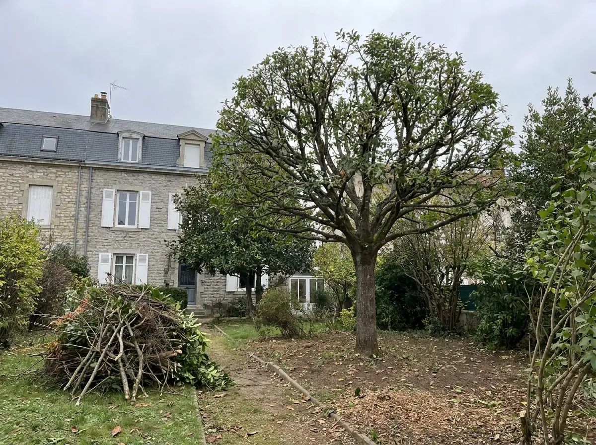 Chantier Rhône